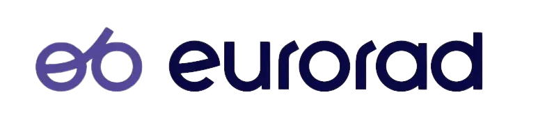 Logo_Eurorad-removebg-preview Logo für eurorad mit stilisierten Kleinbuchstaben e und r in Violett, die auf der linken Seite ein kreisförmiges Muster bilden, gefolgt von dem Wort eurorad in dunkelblauen Kleinbuchstaben.